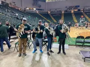 Wright State Disc Dog Halftime Show