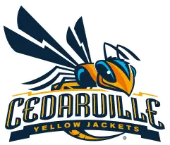 Cedarville University