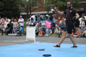 Performing border collie jump off the owner backwards while catching a frisbee disc on dog safe flooring at an outdoor summer fair
