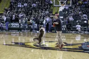 Performance Dogs of Ohio - halftime dog entertainment