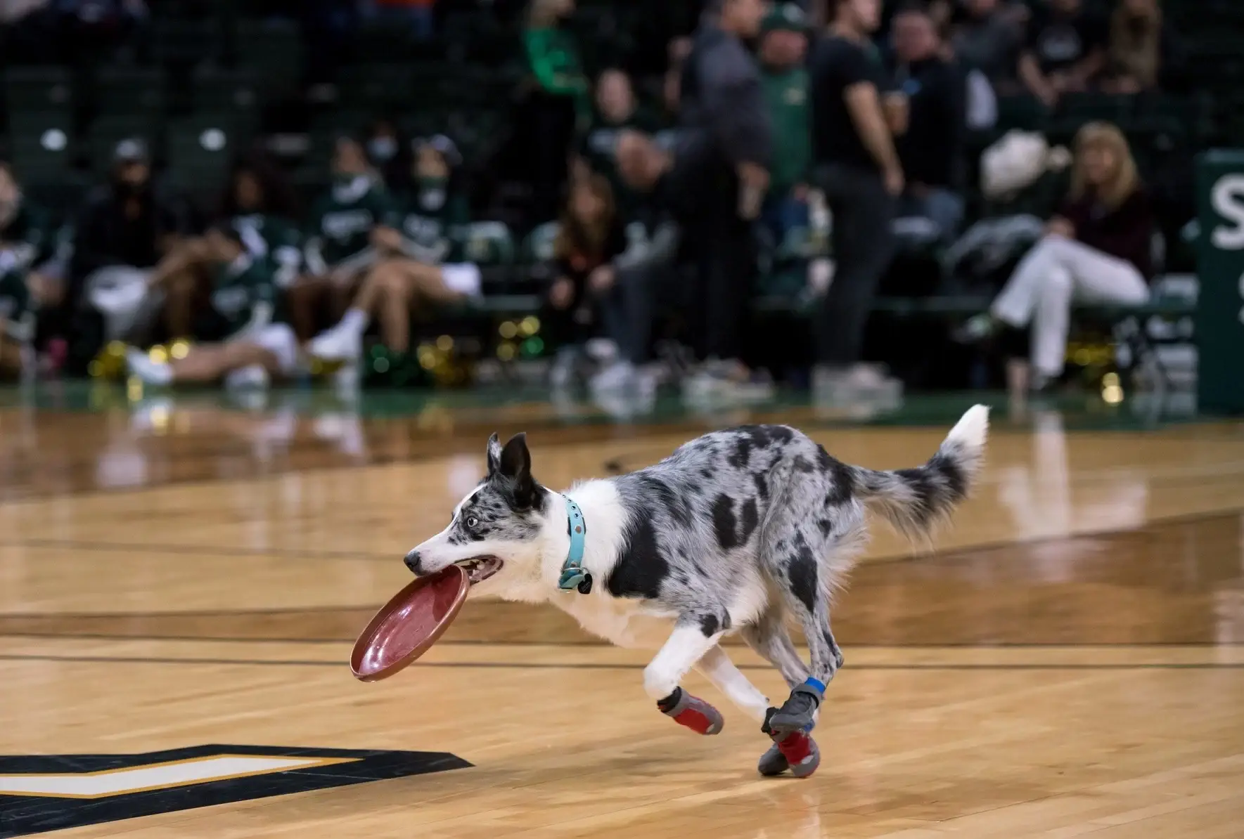 Indian Hill Midnight Madness Halftime Show