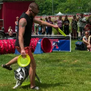 Performance Dogs of Ohio specializing in fairs, festival, halftime shows, and sporting events