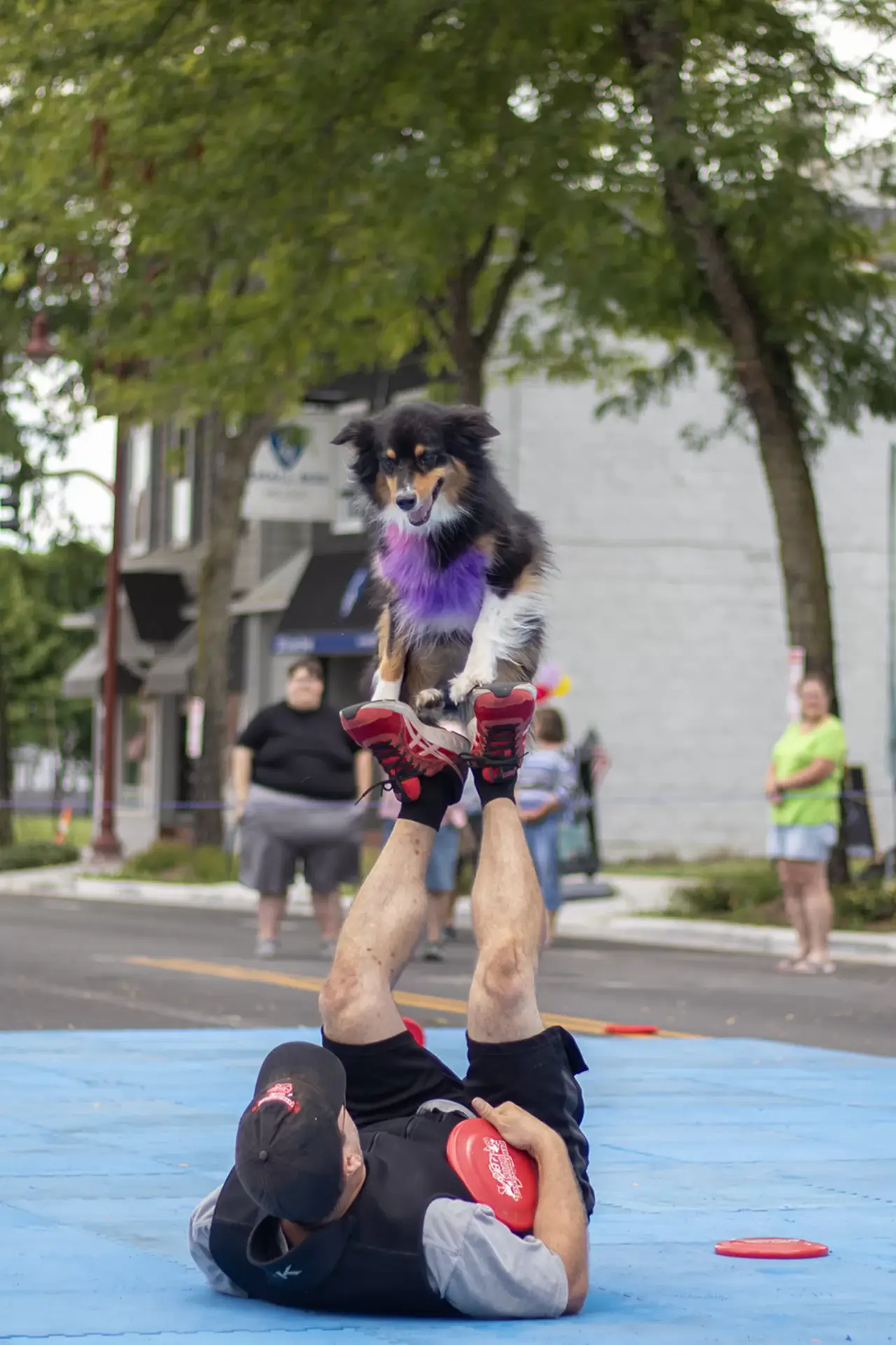 Maumee Summer Fair - Performance Dogs of Ohio - Newspaper Front Page