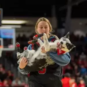 Frisbee stunt dog performing at a halftime basketball show with her performance dog