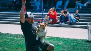 Performance Dogs of Ohio Halftime Show Canine Entertainment Nations Best in Dog Sport Shows