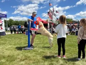 A talented dog from Performance Dogs of Ohio leaps to dunk a basketball into a miniature hoop during a live show, amazing the crowd with its athleticism and training